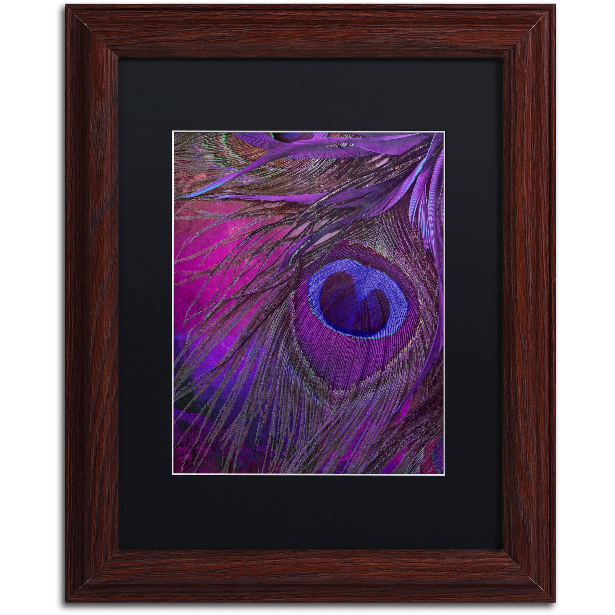 Trademark Fine Art "Peacock Candy IV" Canvas Art by Color Bakery Black Matte, Wood Frame