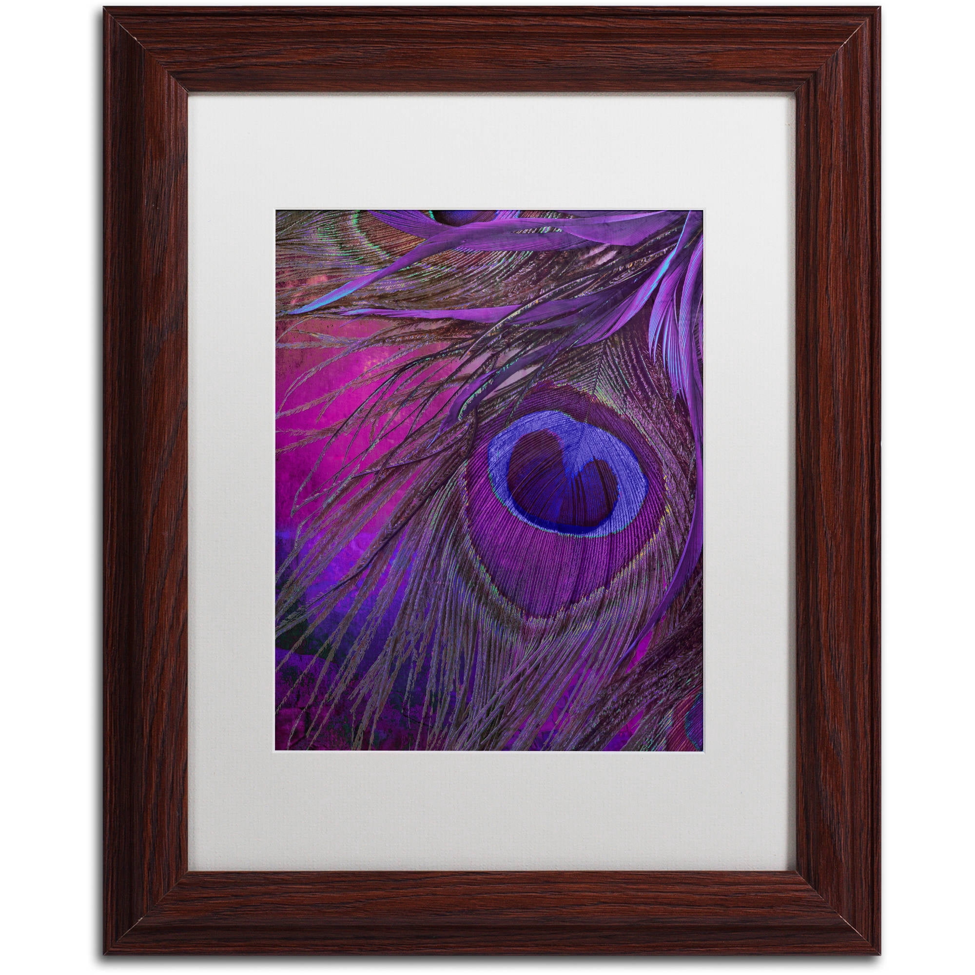 Trademark Fine Art "Peacock Candy IV" Canvas Art by Color Bakery White Matte, Wood Frame