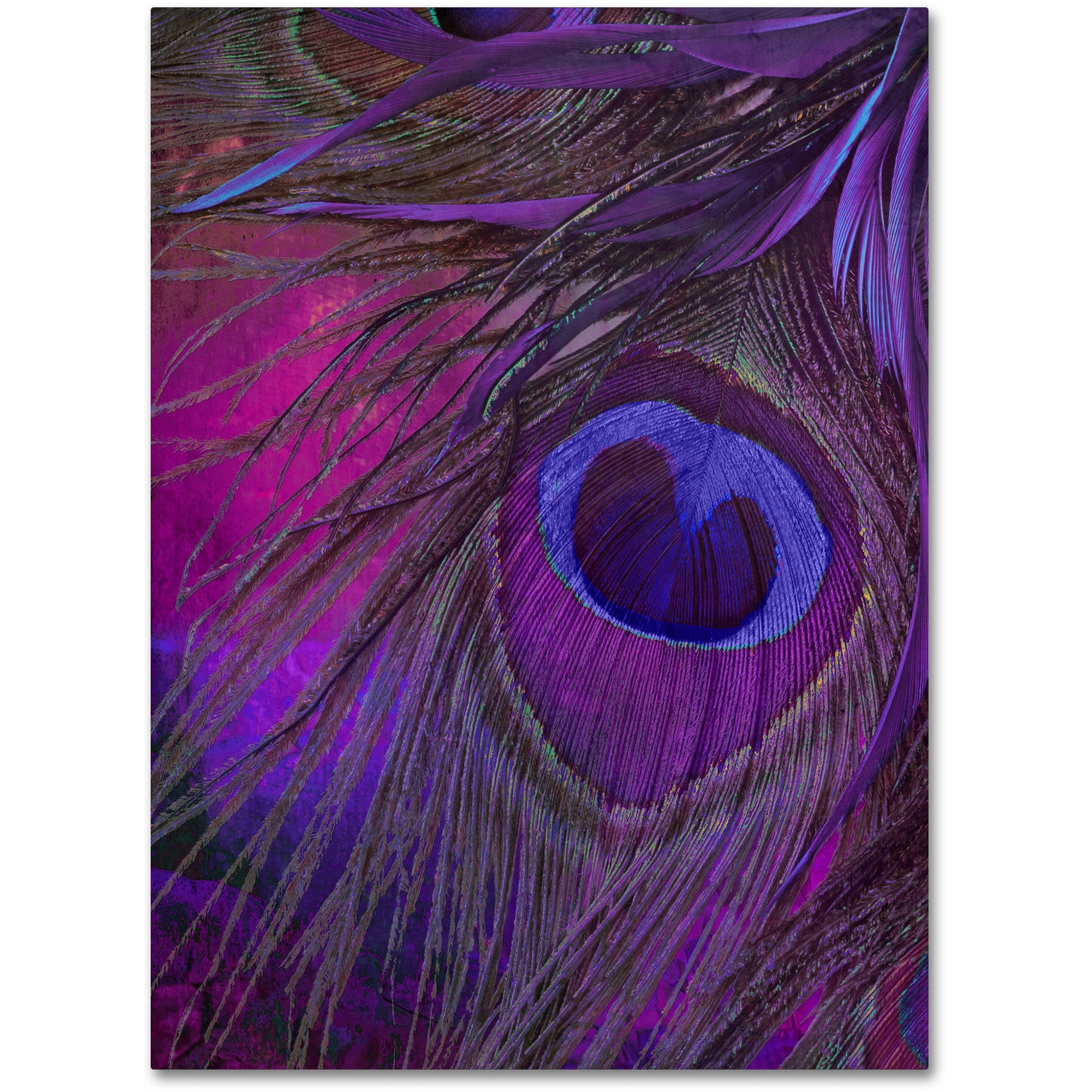 Trademark Fine Art "Peacock Candy IV" Canvas Art by Color Bakery