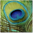 thumbnail image 1 of Trademark Fine Art "Peacock Candy V" Canvas Art by Color Bakery, 1 of 4