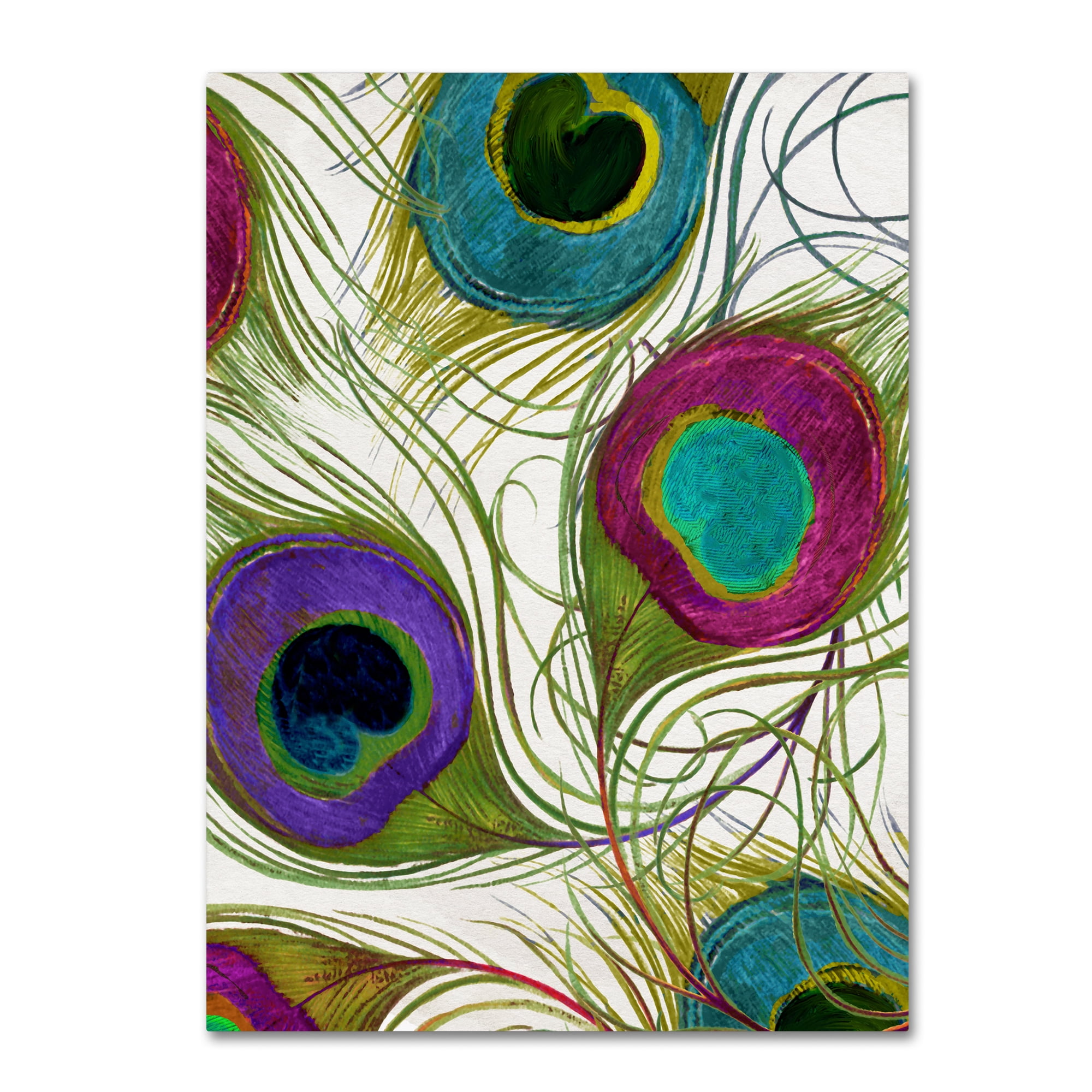 Trademark Fine Art "Peacock Feathers I" Canvas Art by Color Bakery