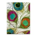 thumbnail image 1 of Trademark Fine Art "Peacock Feathers II" Canvas Art by Color Bakery, 1 of 3