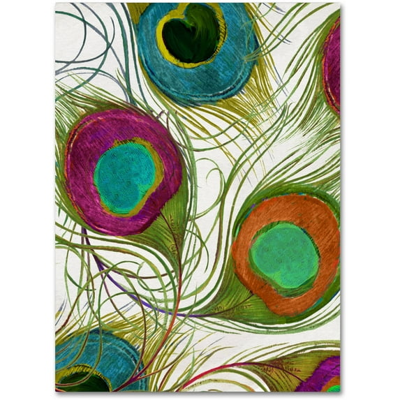 Trademark Fine Art "Peacock Feathers II" Canvas Art by Color Bakery
