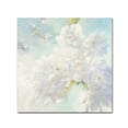 thumbnail image 1 of Trademark Fine Art 'Pear Blossoms Bright' Canvas Art by Julia Purinton, 1 of 3