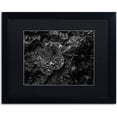 thumbnail image 1 of Trademark Fine Art "Pearls of Nature" Canvas Art by Mathieu Rivrin, Black Matte, Black Frame, 1 of 4