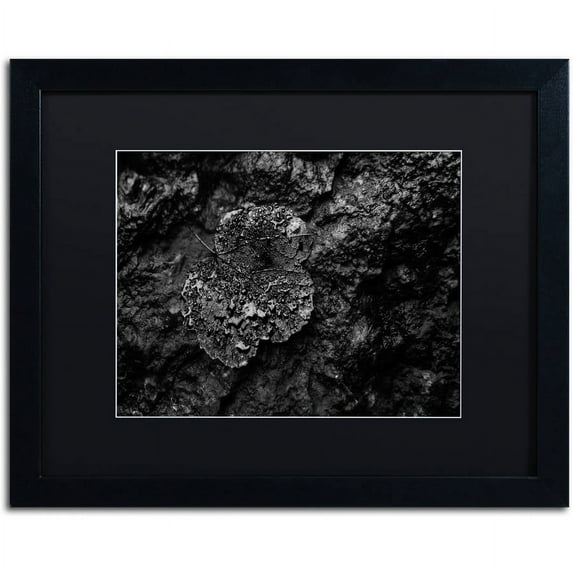 Trademark Fine Art "Pearls of Nature" Canvas Art by Mathieu Rivrin, Black Matte, Black Frame