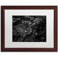 thumbnail image 1 of Trademark Fine Art "Pearls of Nature" Canvas Art by Mathieu Rivrin, White Matte, Wood Frame, 1 of 4