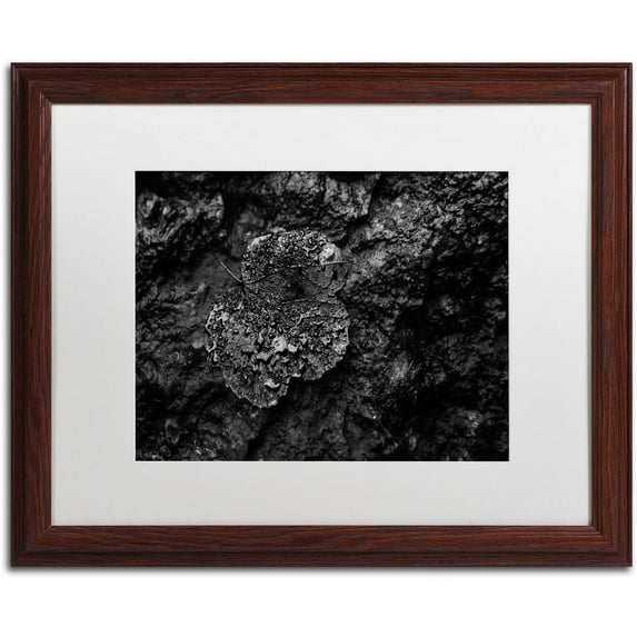 Trademark Fine Art "Pearls of Nature" Canvas Art by Mathieu Rivrin, White Matte, Wood Frame