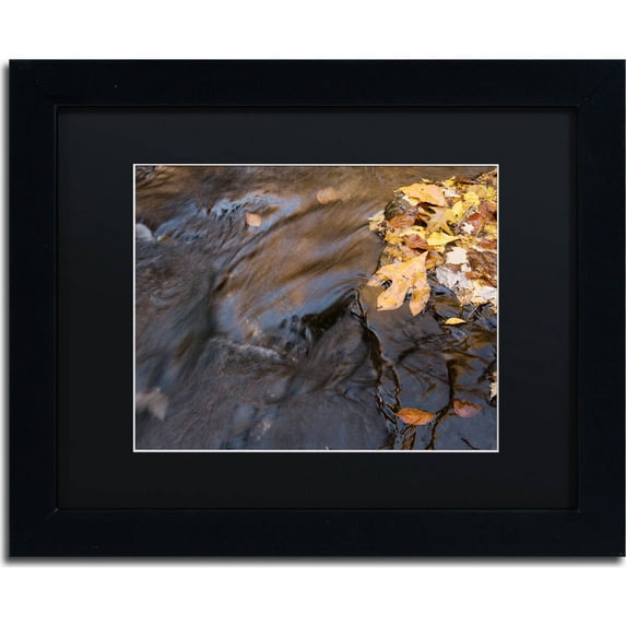 Trademark Fine Art "Peasley Hollow" Canvas Art by Jason Shaffer, Black Matte, Black Frame