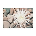 thumbnail image 1 of Trademark Fine Art 'Pebble Beach II' Canvas Art by Jason Johnson, 1 of 3