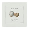 thumbnail image 1 of Trademark Fine Art 'Pebbles and Sandpipers V' Canvas Art by Lisa Audit, 1 of 3