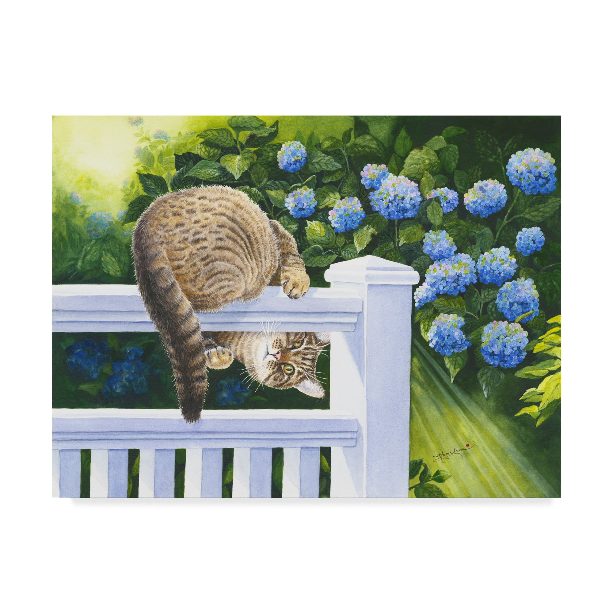 Trademark Fine Art 'Peek A Boo Floral' Canvas Art by Mary Irwin