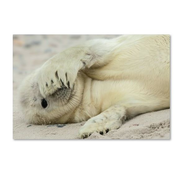 Trademark Fine Art 'Peekaboo' Canvas Art by Hillebrand Breuker