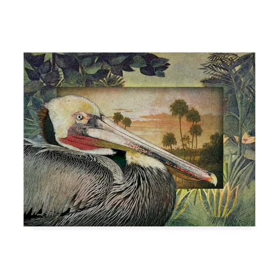 Trademark Fine Art 'Pelican Paradise I' Canvas Art by Steve Hunziker