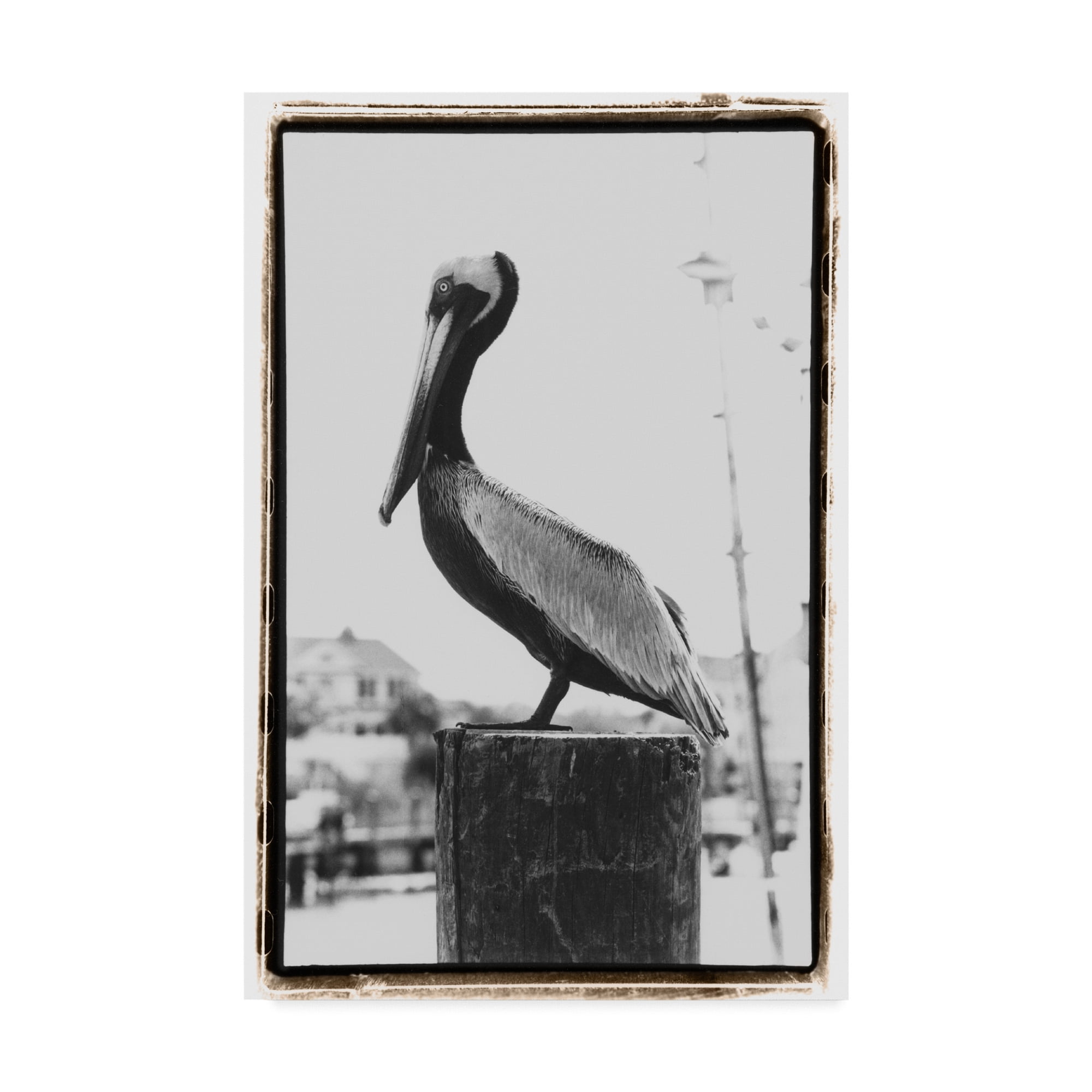 Modern Black and White Pelican Canvas Art with Wooden Frame