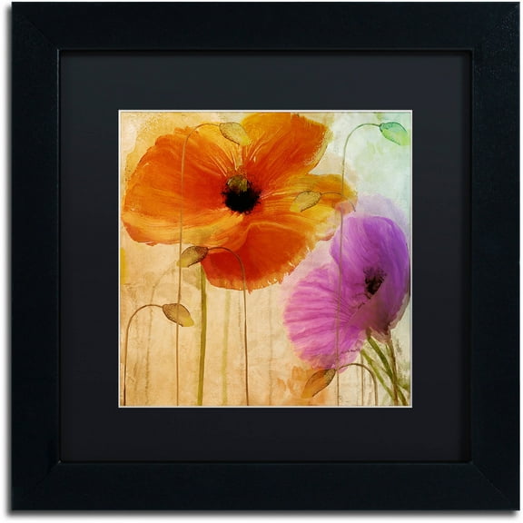 Trademark Fine Art "Penchant For Poppies II" Canvas Art by Color Bakery Black Matte, Black Frame