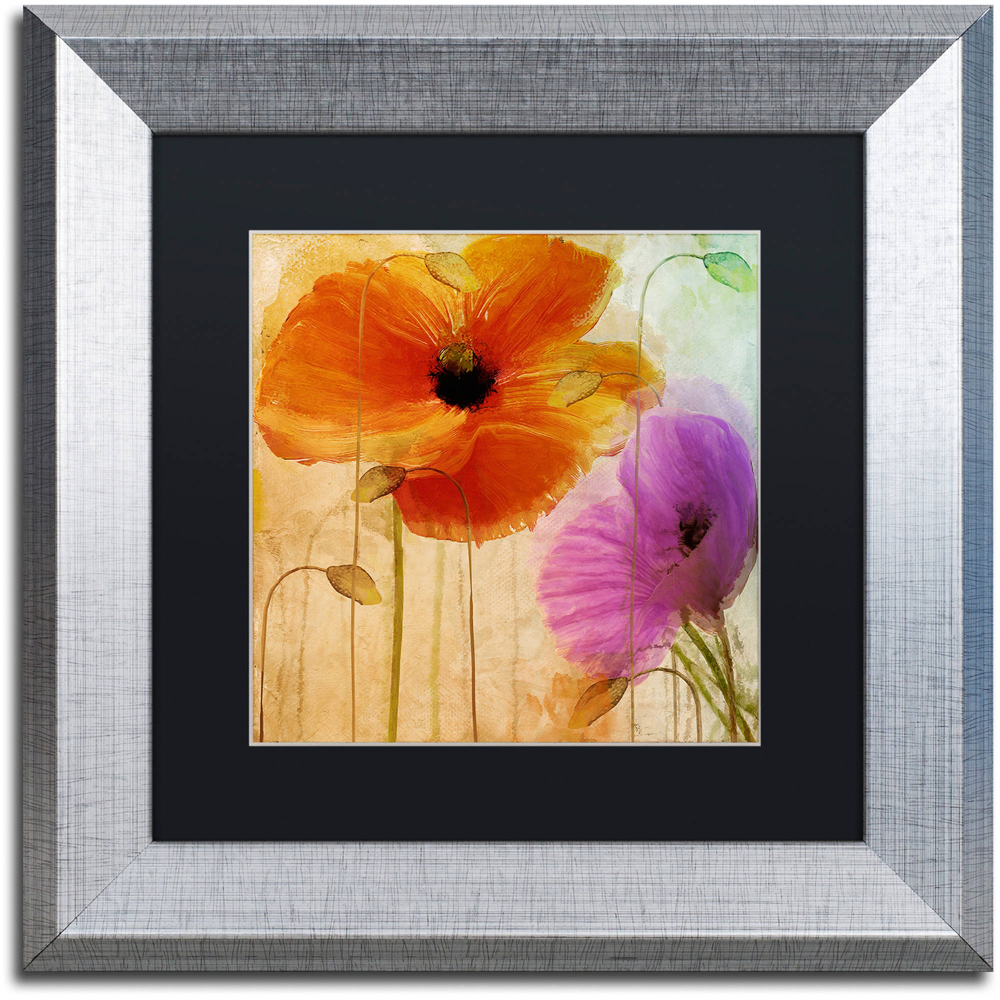 Trademark Fine Art "Penchant For Poppies II" Canvas Art by Color Bakery Black Matte, Silver Frame
