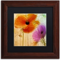 Trademark Fine Art "Penchant For Poppies II" Canvas Art by Color Bakery Black Matte, Wood Frame