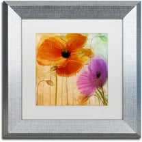 Trademark Fine Art "Penchant For Poppies II" Canvas Art by Color Bakery White Matte, Silver Frame