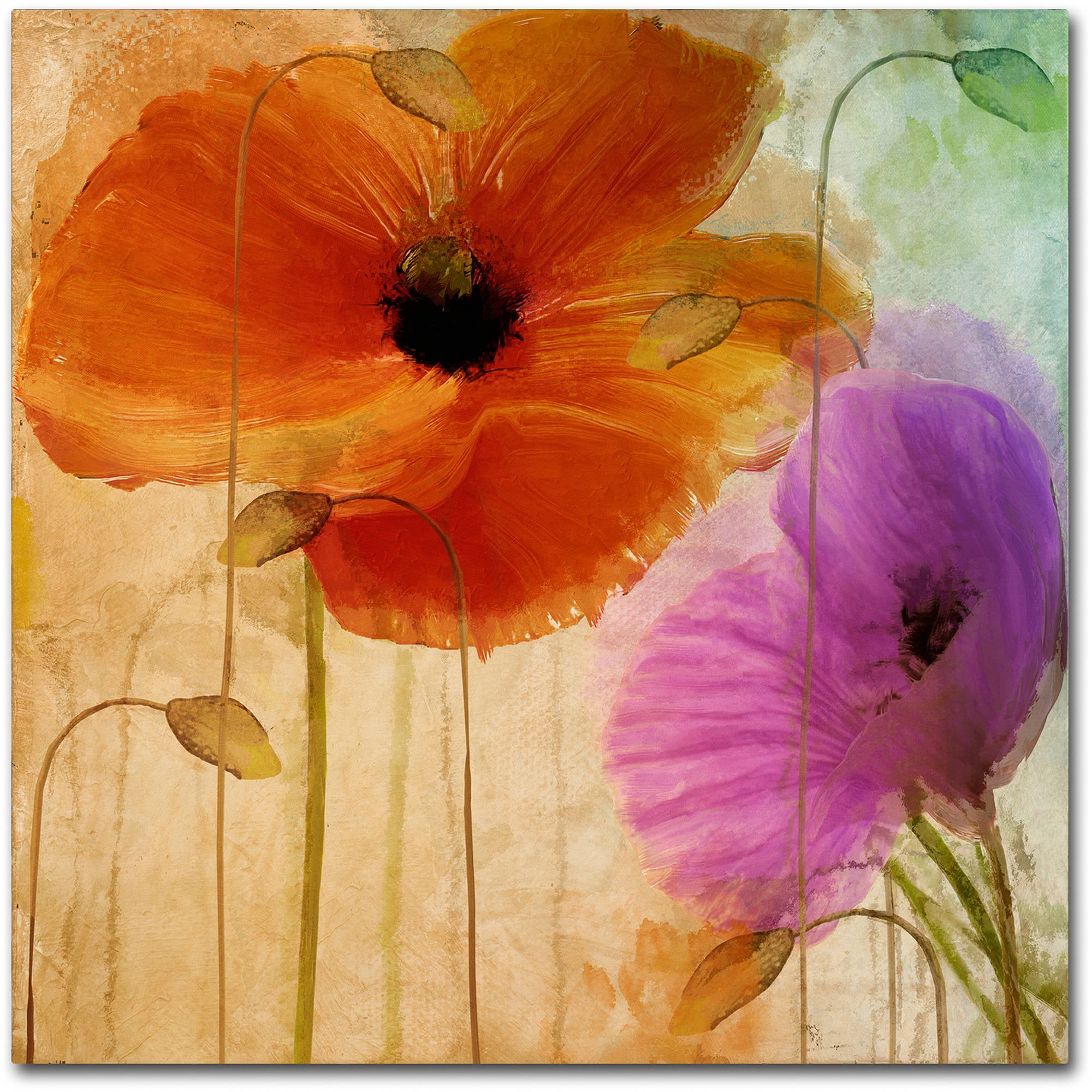 Trademark Fine Art "Penchant For Poppies II" Canvas Art by Color Bakery