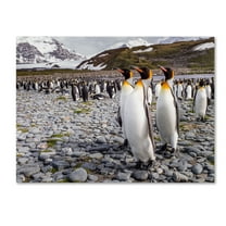 Trademark Fine Art 'Penguins Of Salisbury Plain' Canvas Art by Karen Lunney