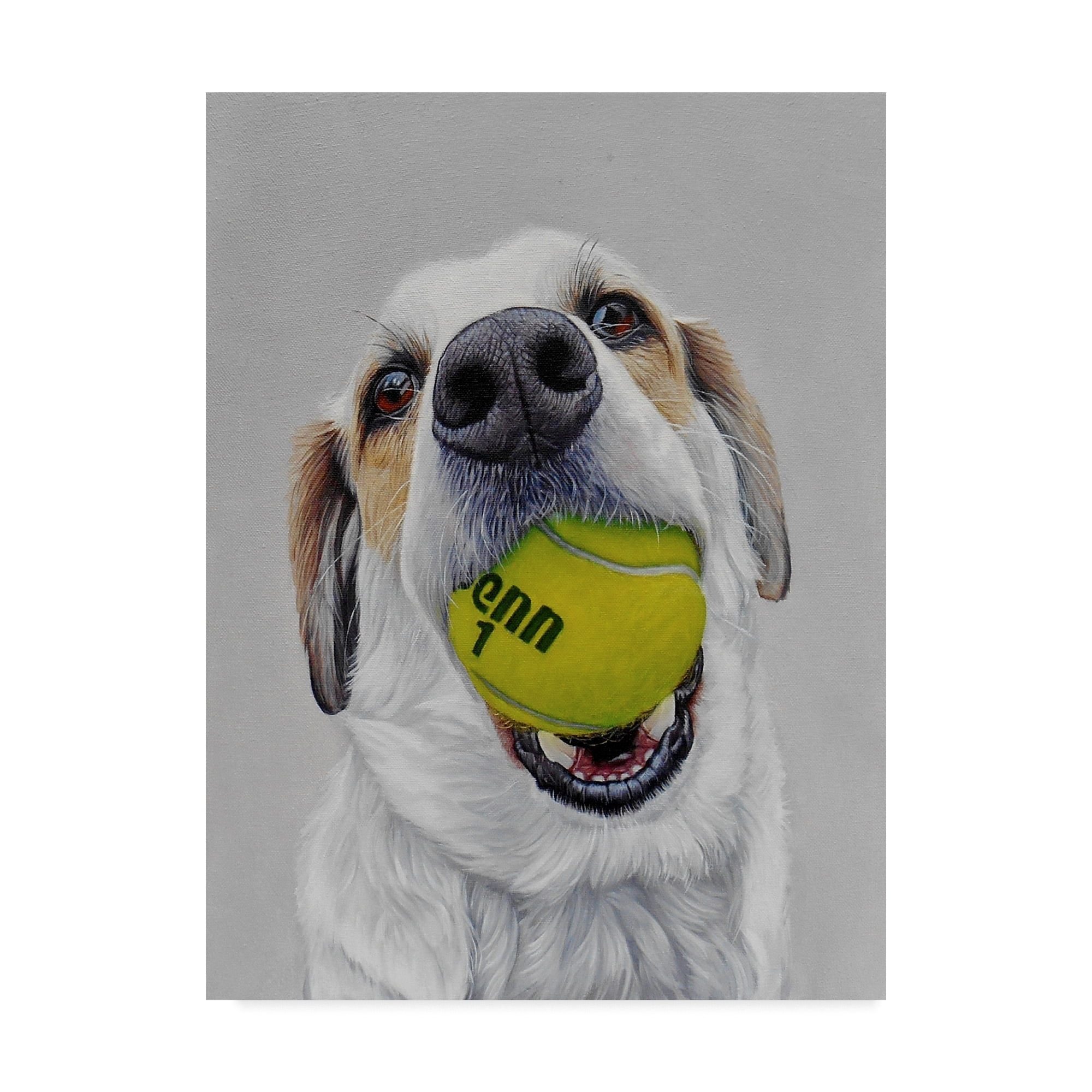Trademark Fine Art 'Penn' Canvas Art by James Ruby