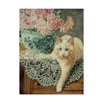 Trademark Fine Art 'Peonies And Lace' Canvas Art by Jan Benz