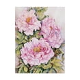 thumbnail image 1 of Trademark Fine Art 'Peonies' Canvas Art by Joanne Porter, 1 of 3