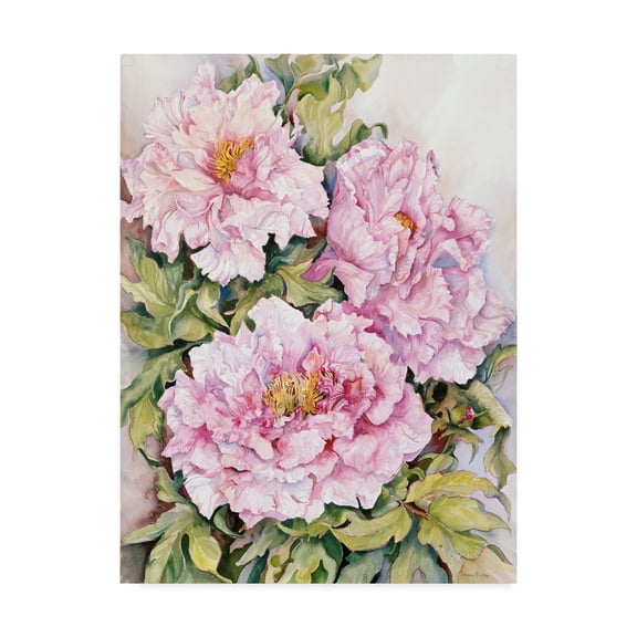 Trademark Fine Art 'Peonies' Canvas Art by Joanne Porter
