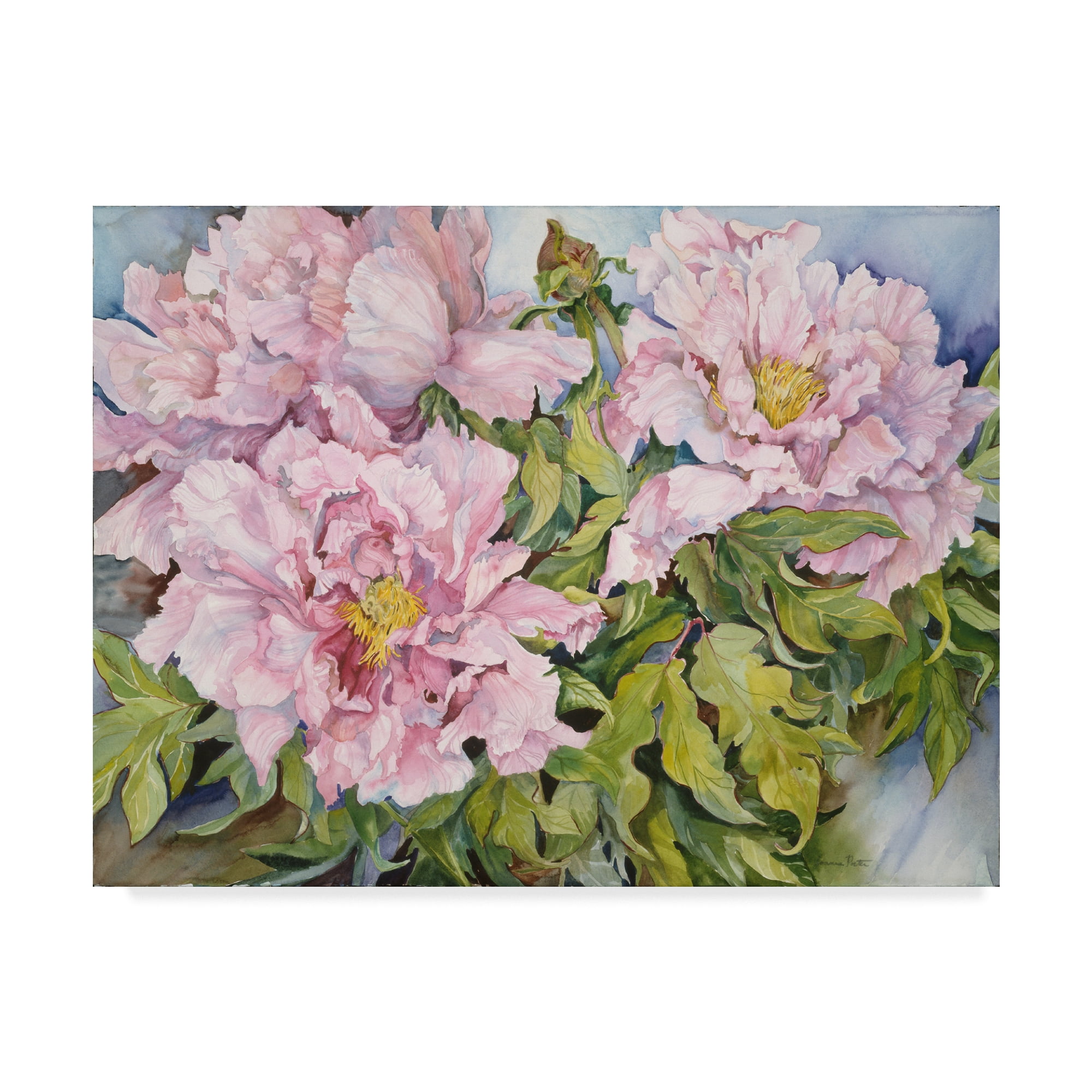 Trademark Fine Art 'Peonies Pink' Canvas Art by Joanne Porter