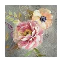 Trademark Fine Art 'Peonies and Paisley III' Canvas Art by Danhui Nai