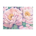 thumbnail image 1 of Trademark Fine Art 'Peonies in Bloom II' Canvas Art by Tim OToole, 1 of 3