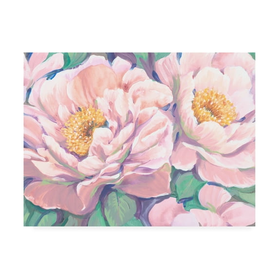 Trademark Fine Art 'Peonies in Bloom II' Canvas Art by Tim OToole