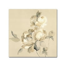 Trademark Fine Art 'Peony Blossoms Crop' Canvas Art by Wild Apple Portfolio
