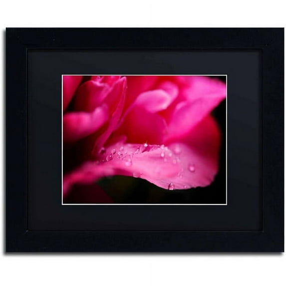 Trademark Fine Art "Peony Drops" Canvas Art by Philippe Sainte-Laudy, Black Matte, Black Frame