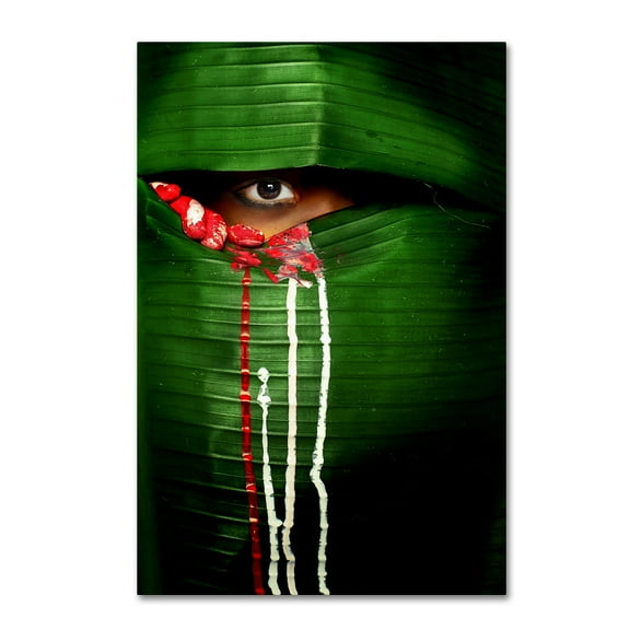 Trademark Fine Art People Canvas Art ' Mysterio Eye ' by Adithya Zen