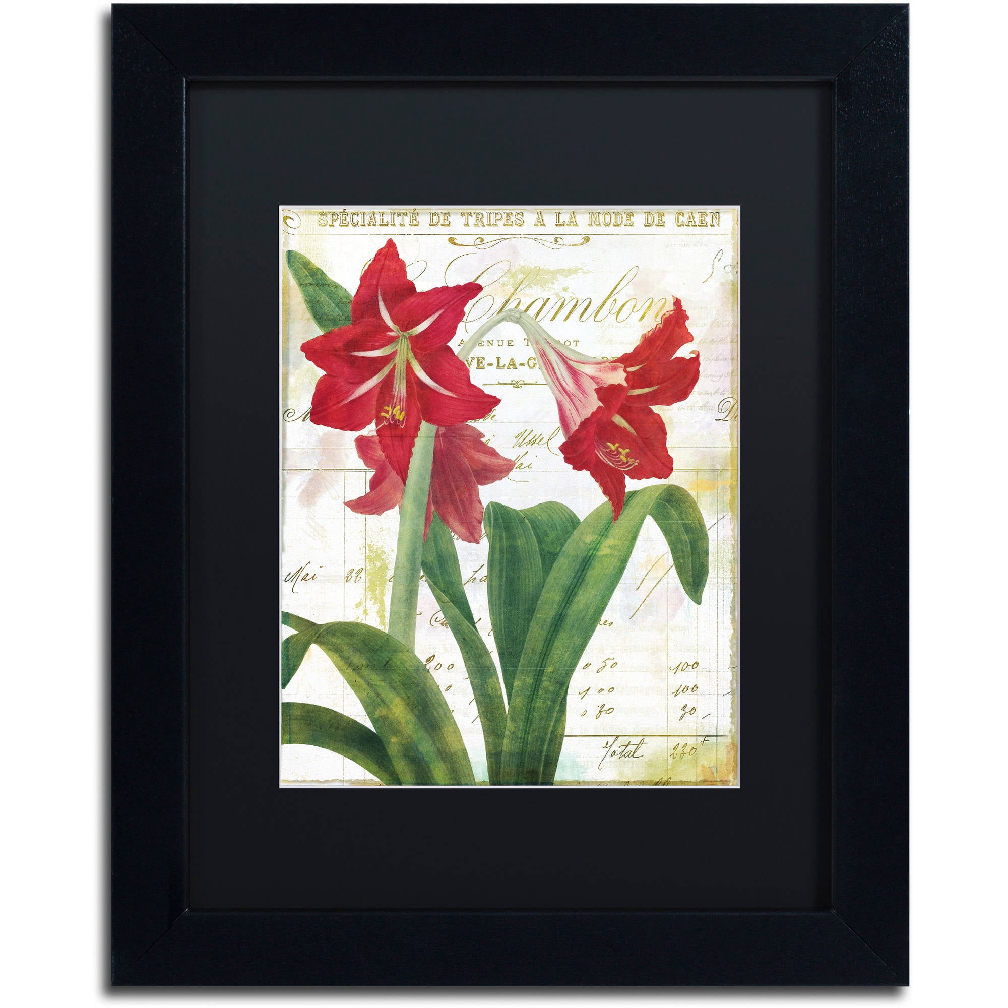 Trademark Fine Art "Peppermint Amaryllis" Canvas Art by Color Bakery Black Matte, Black Frame
