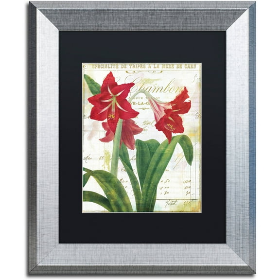 Trademark Fine Art "Peppermint Amaryllis" Canvas Art by Color Bakery Black Matte, Silver Frame
