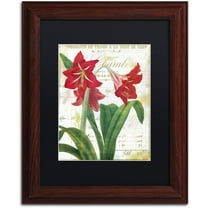 Trademark Fine Art "Peppermint Amaryllis" Canvas Art by Color Bakery Black Matte, Wood Frame