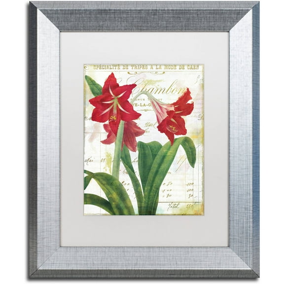 Trademark Fine Art "Peppermint Amaryllis" Canvas Art by Color Bakery White Matte, Silver Frame