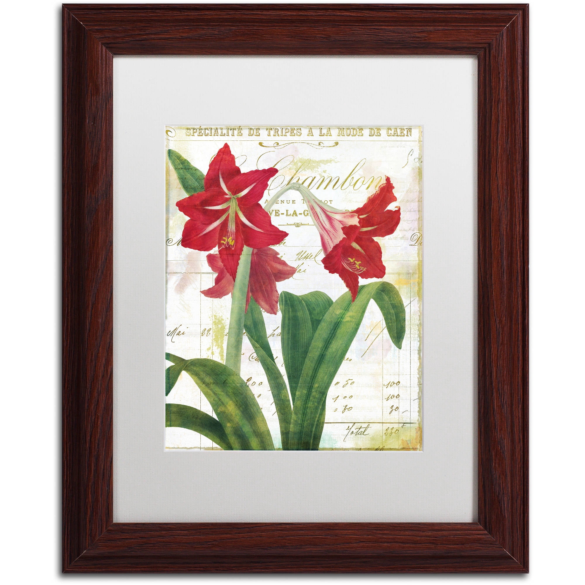 Trademark Fine Art "Peppermint Amaryllis" Canvas Art by Color Bakery White Matte, Wood Frame