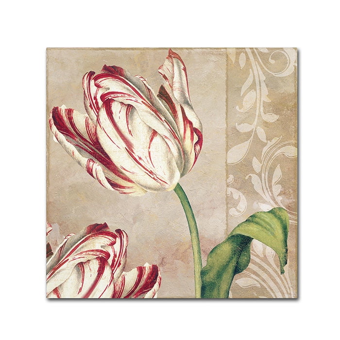 Trademark Fine Art "Peppermint Tulips I" Canvas Art by Color Bakery