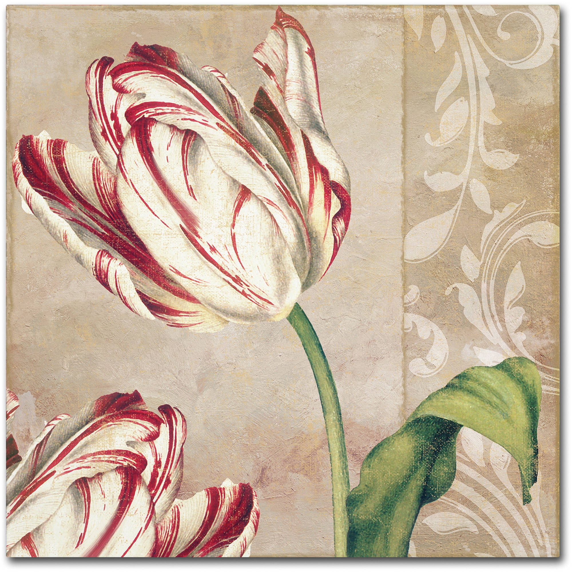 Trademark Fine Art "Peppermint Tulips I" Canvas Art by Color Bakery