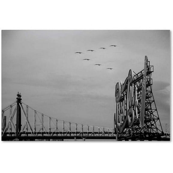 Trademark Fine Art "Pepsi Birds" Canvas Art by Yale Gurney