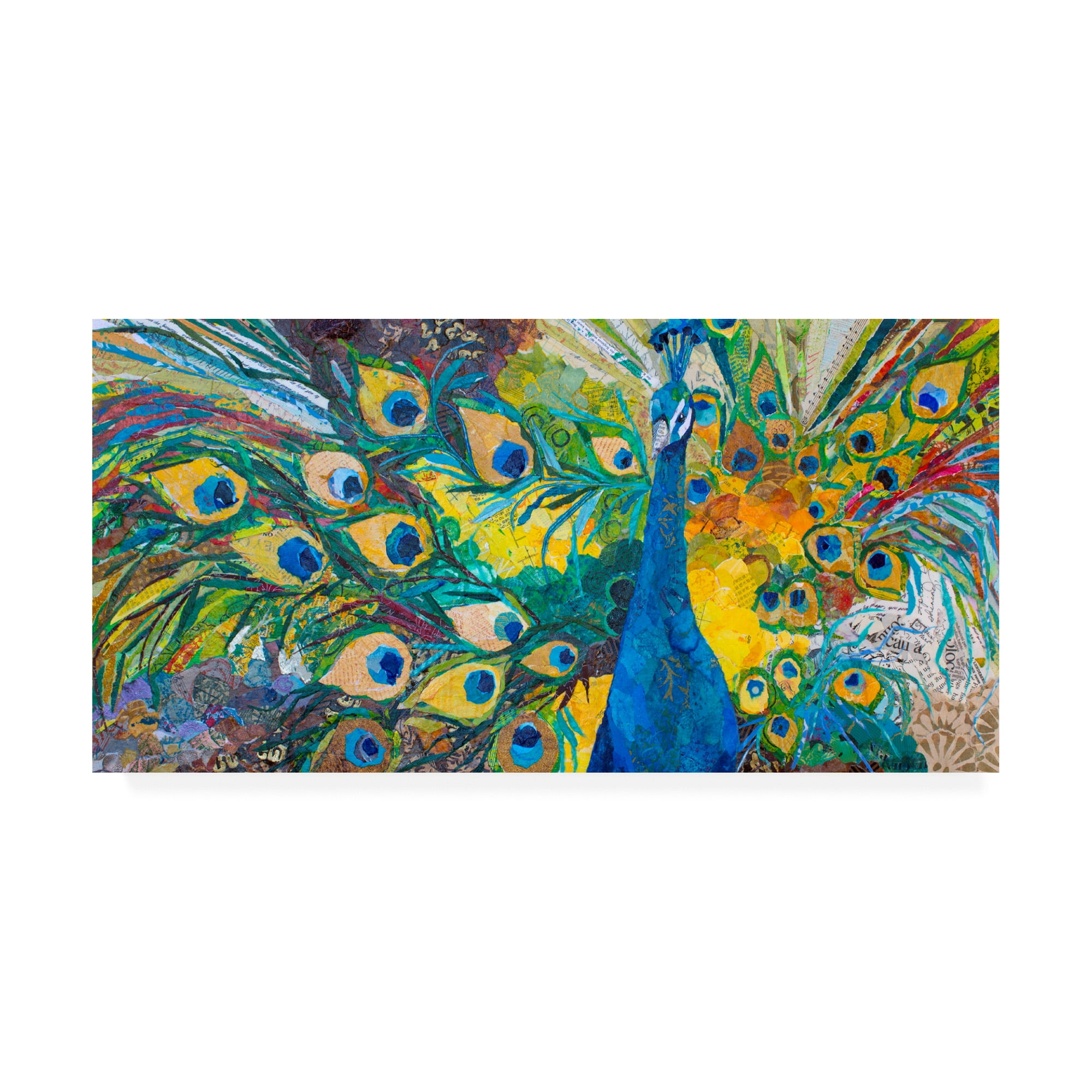 Trademark Fine Art 'Percy Peacock I' Canvas Art by Elizabeth St. Hilaire