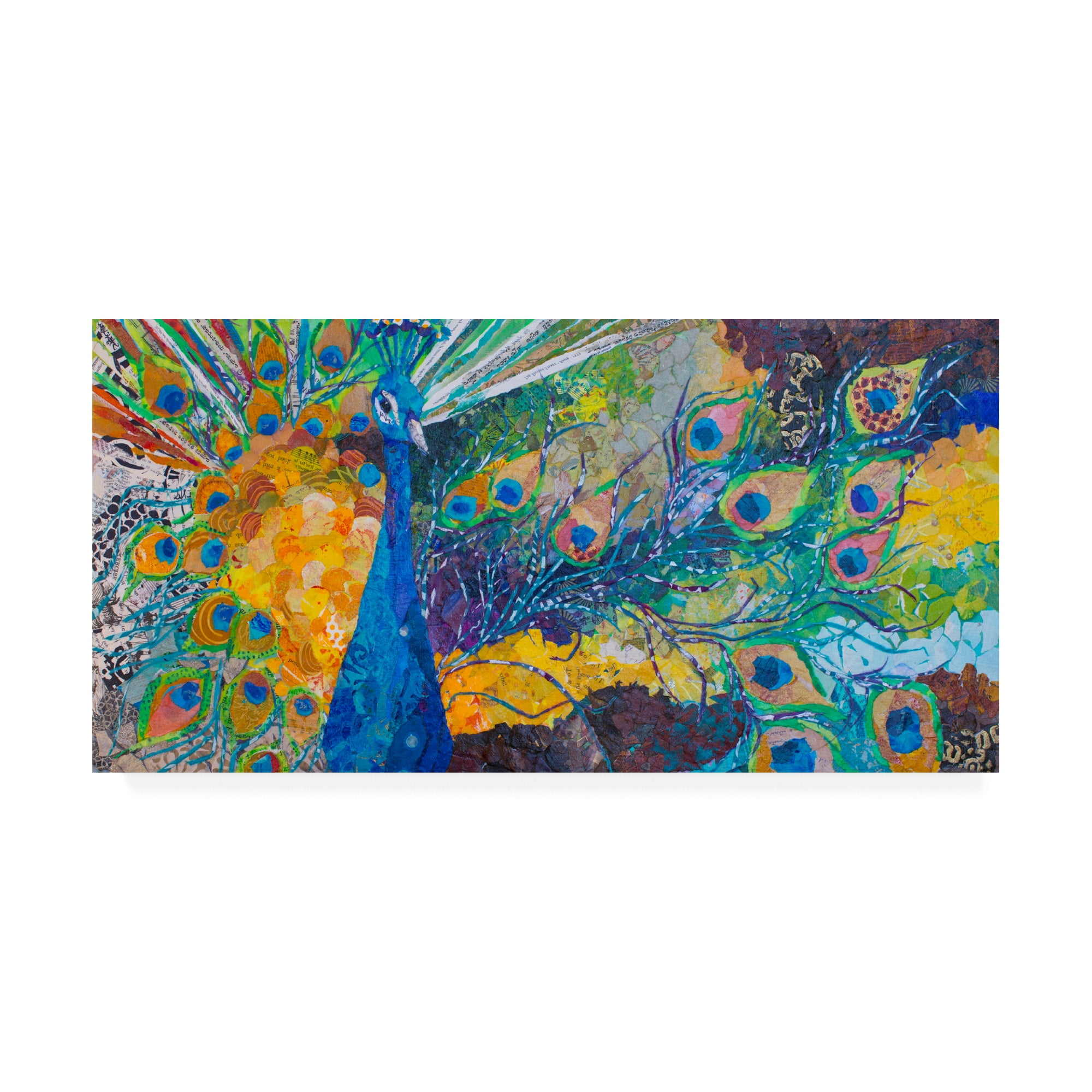 Trademark Fine Art 'Percy Peacock II' Canvas Art by Elizabeth St. Hilaire