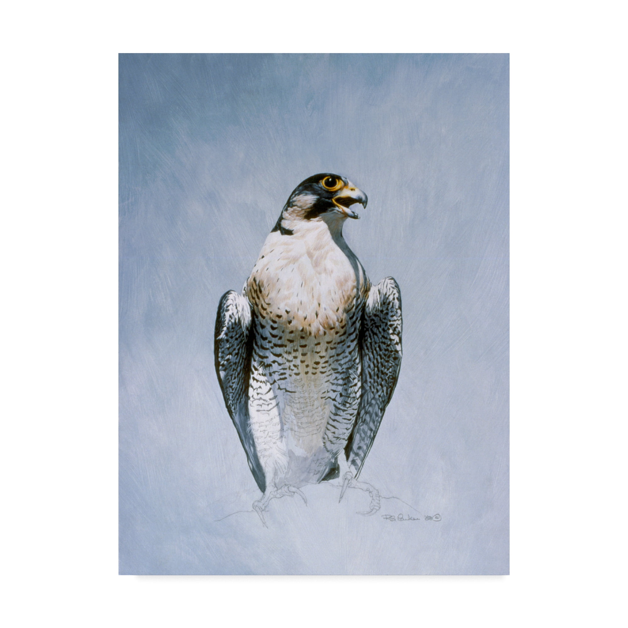Peregrine Falcon Framed Canvas Art in Blue and White