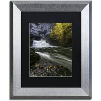 Trademark Fine Art "Perfect Harmony" Canvas Art by Mathieu Rivrin, Black Matte, Silver Frame