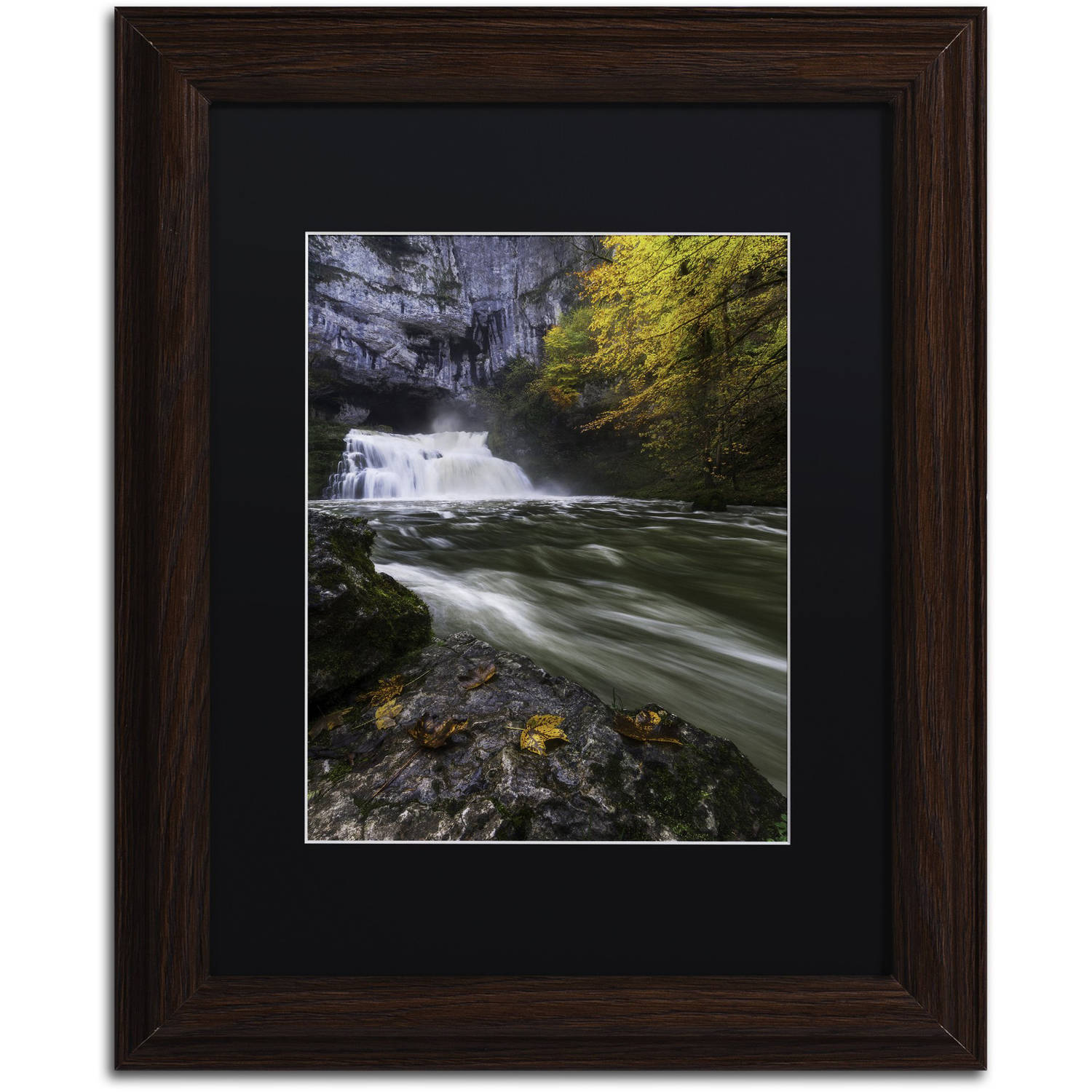 Trademark Fine Art "Perfect Harmony" Canvas Art by Mathieu Rivrin, Black Matte, Wood Frame