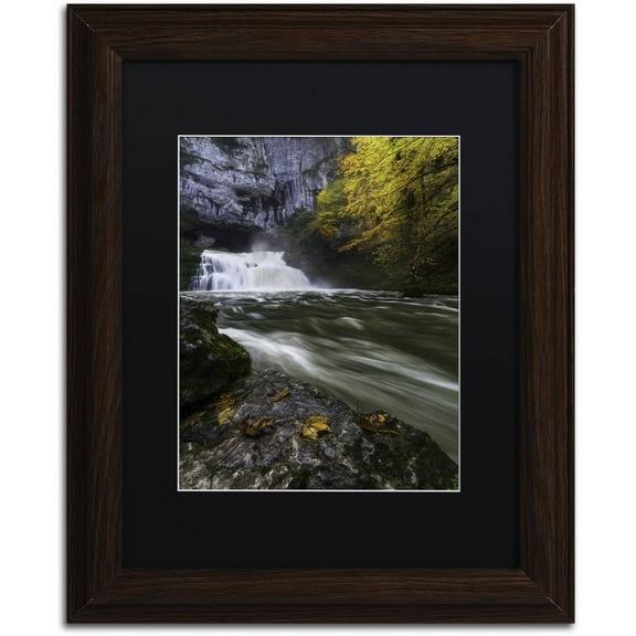 Trademark Fine Art "Perfect Harmony" Canvas Art by Mathieu Rivrin, Black Matte, Wood Frame